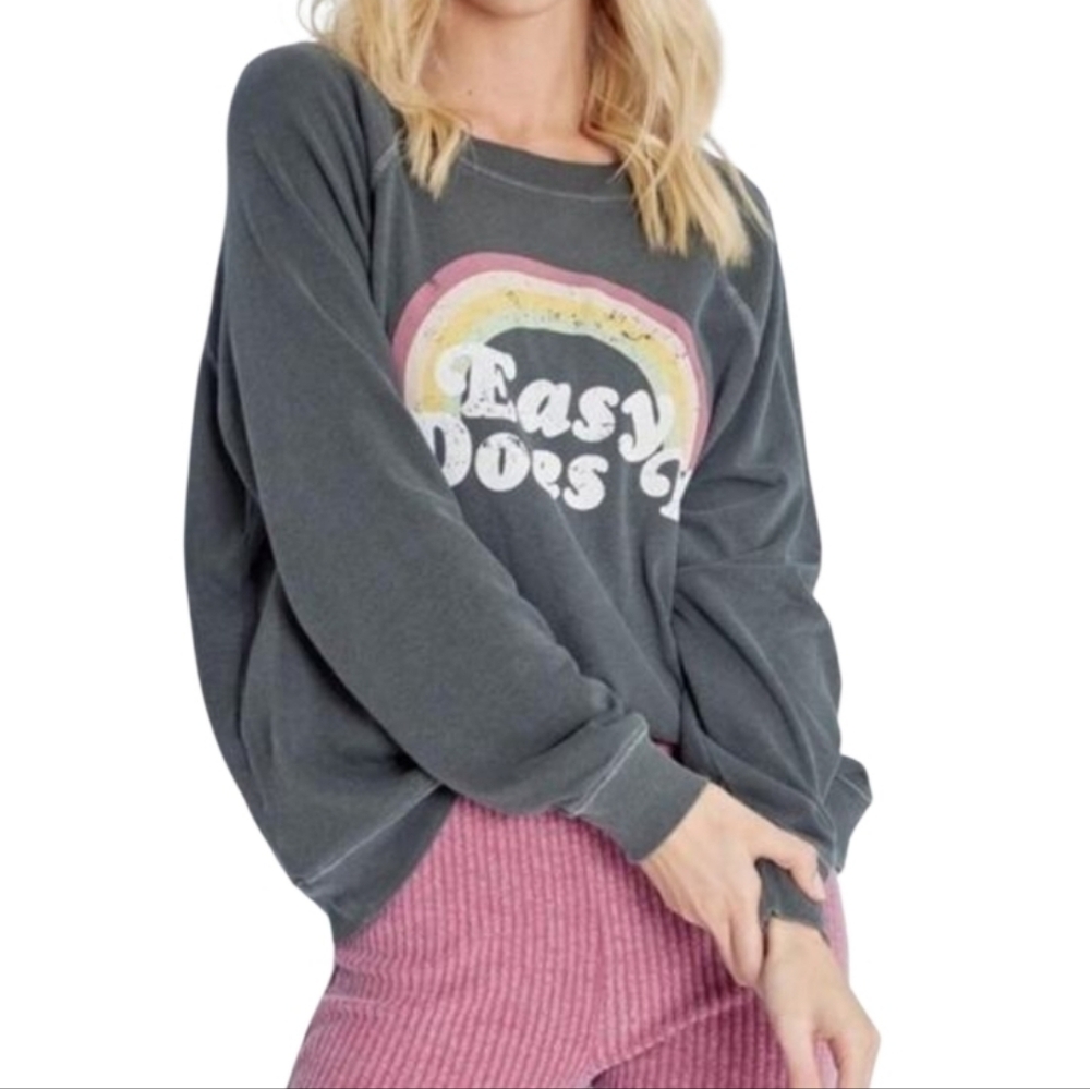 WILDFOX Charcoal Graphic Spring Sweatshirt Rainbow "Easy Does It" NWT Oversized